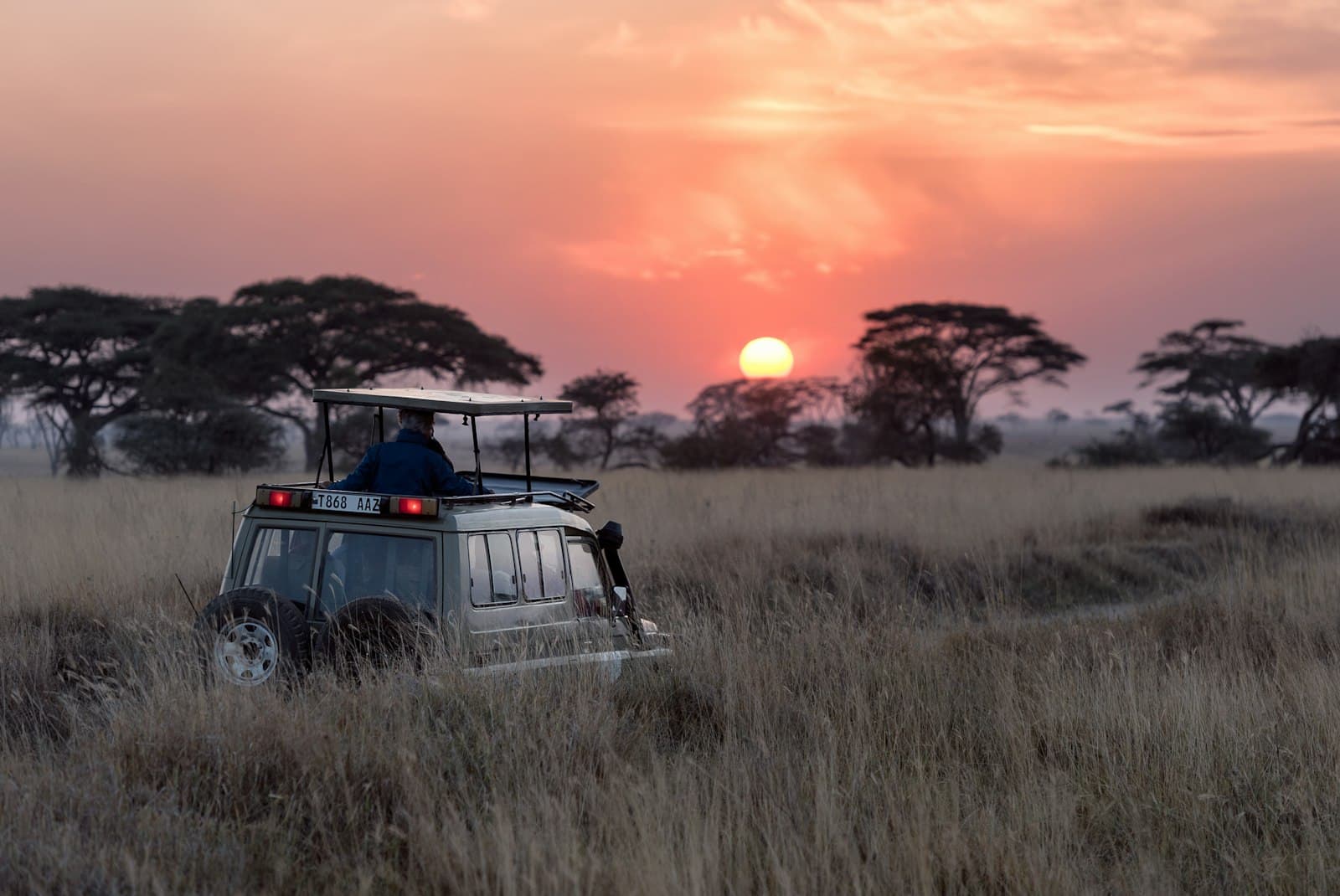 Witness the Great Migration — millions of wildebeest crossing the endless savannah.